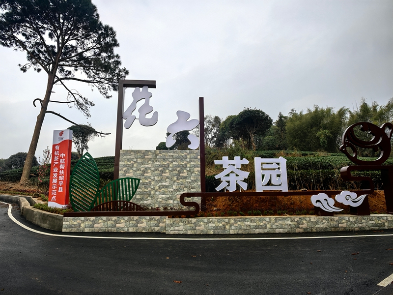 昭平县昭平镇花六茶园景观（拍摄者：姚富航）.jpg