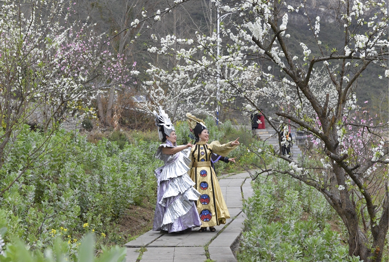 3月15日，毕节黔西市大关镇第十三届鸭池河桃李花文化旅游节在该镇丘林村开幕。(刘荣江 摄） (7).jpg