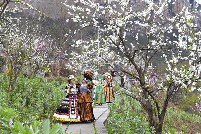 3月15日，毕节黔西市大关镇第十三届鸭池河桃李花文化旅游节在该镇丘林村开幕。(刘荣江 摄） (8).jpg