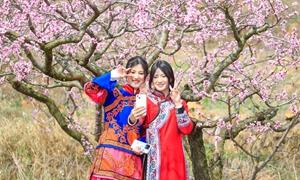威宁：县域旅游“一路繁花”