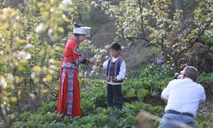 湖北巴东：繁花绘锦绣 产业促振兴