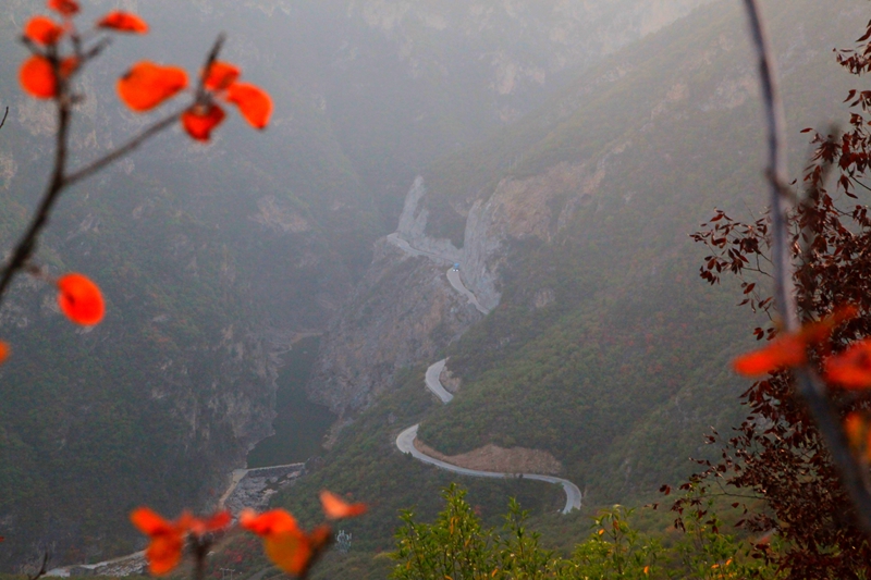 郑国红渠叶映山路 张向龙.jpg