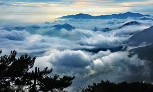 文旅融合新样本：九宫山“风景 美食”双引擎引爆旅游热