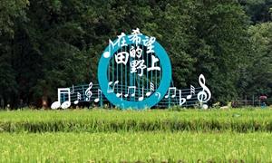 从闲置河滩到网红打卡地 龙湾景区的山水“变形记”