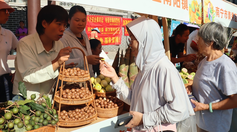 在丰收集上，游客品尝夏威夷果.jpg