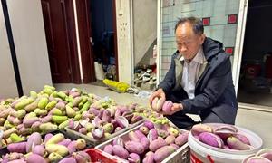 嵩县“土专家”驯化“八月炸”，亩产效益超六千变身“致富果”