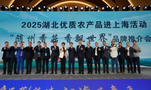 随县香菇：链上发力筑根基 香飘世界谱新篇