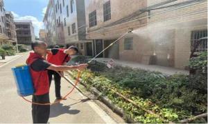 文明实践育新风 除蚊防病护安康
